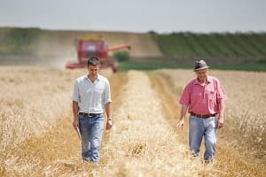 Two men walking in a wheat field with a tractor behind them