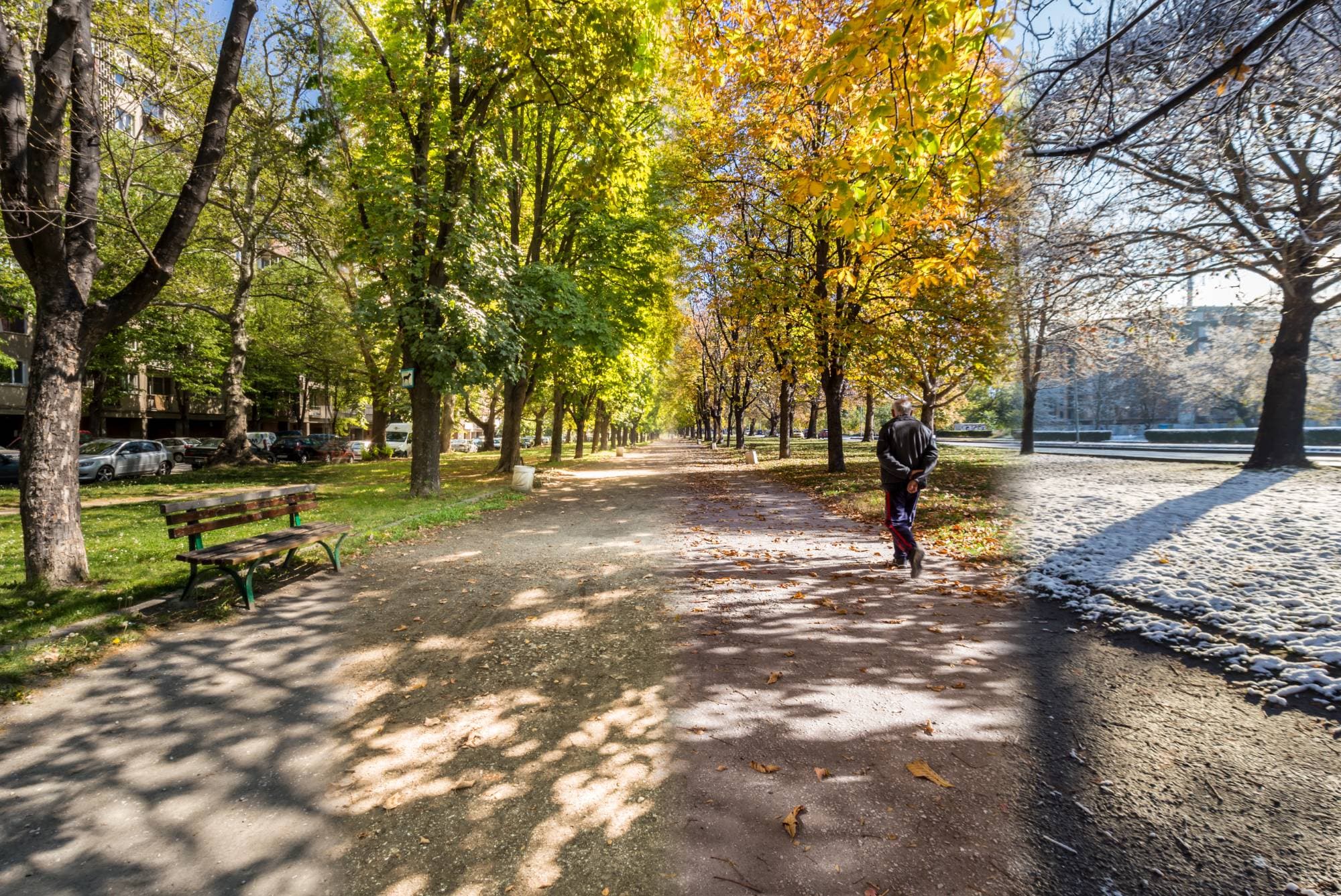 walking path in the fall